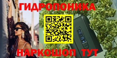 мяу мяу мука Бузулук